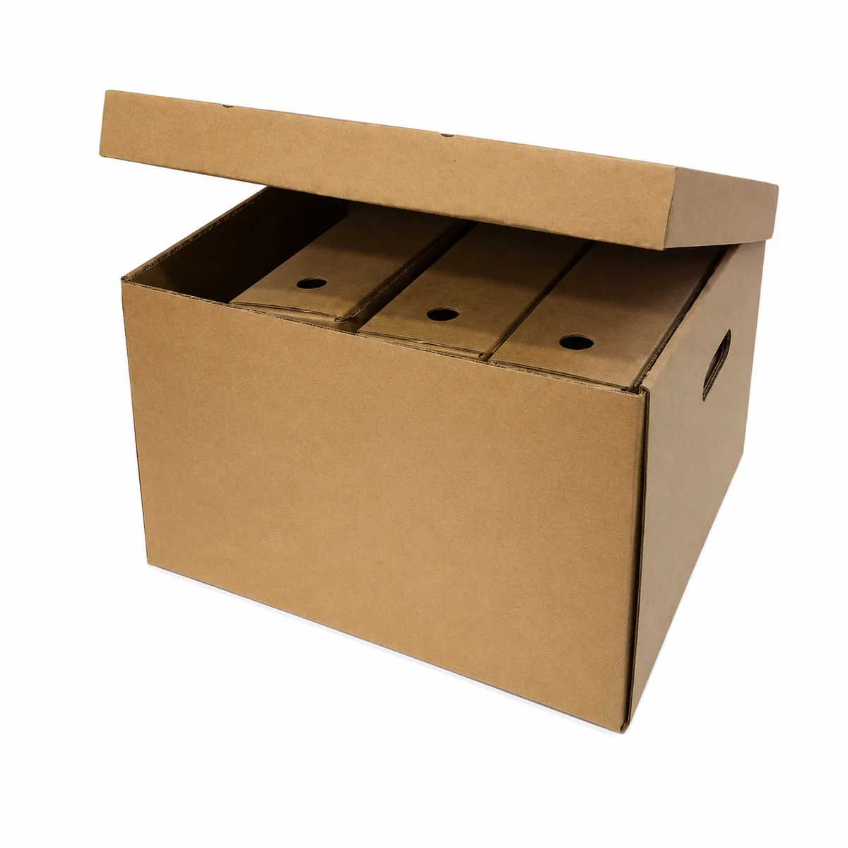 Flip Top - Archive/ Storage Box